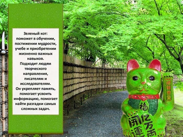 Зеленый котик Манеки Неко поможет в учебе и приобретению мудрости